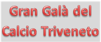 Gran Galà del Calcio Triveneto