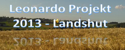 Leonardo Germania 2013